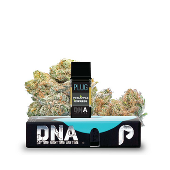 PLUG™ DNA: Pineapple Express